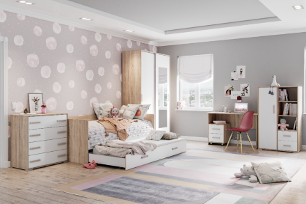 Шкаф-купе Бланка с фотопечатью 